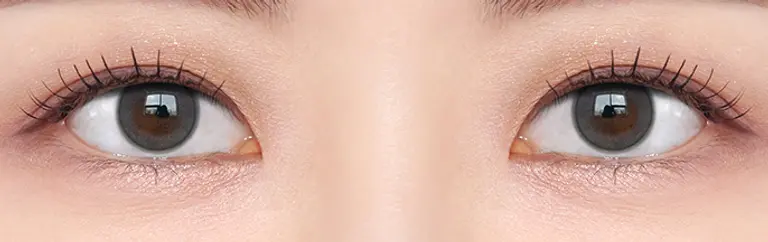 착용샷